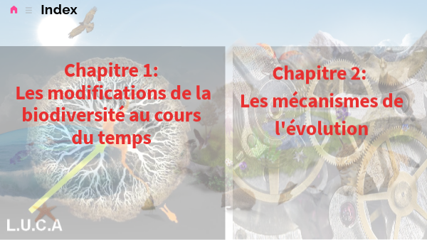 Seconde- Biodiversité, résultat et étape de l'évolution