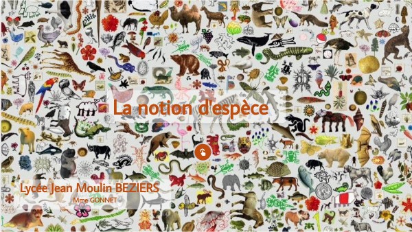 Notion D Espece Svt 6eme view.genial.ly