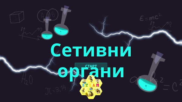 СЕТИВНИ ОРГАНИ