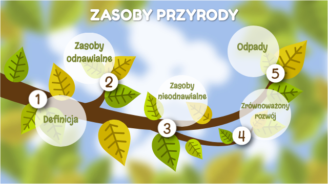 Sprawdzian Z Przyrody Kl 6 Dział Zasoby Przyrody