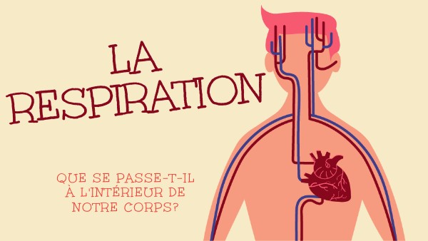 la respiration CM1 CM2