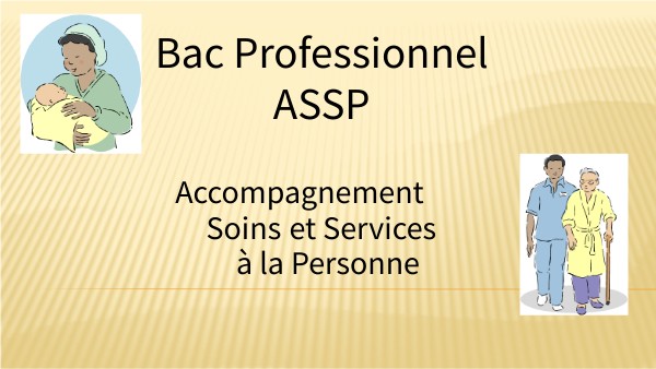 Dossier Projet D'accompagnement Bac Pro Assp Page De Garde Bac Pro ASSP