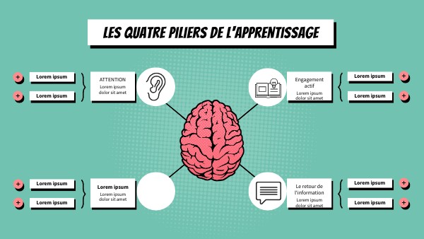 Les quatre piliers de l'apprentissage - Mme Descamps Claire