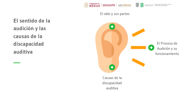 Causas Y Consecuencias De La Discapacidad Auditiva