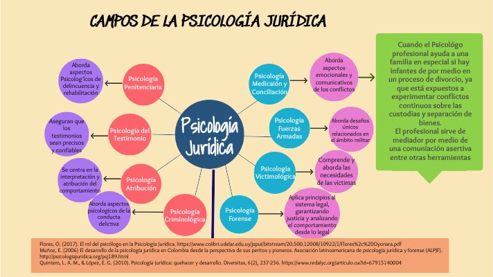 CAMPOS DE LA PSICOLOGÍA JURÍDICA