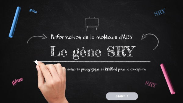 Gène Sry : Rôle, C’Est Quoi – Le gène p53 et son rôle dans le cancer – ICWT