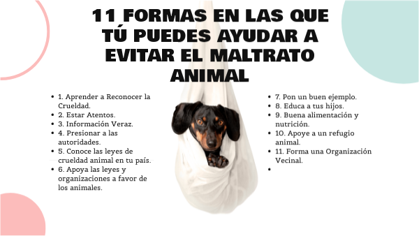 El Maltrato Animal Como Generador De Violencia - vrogue.co