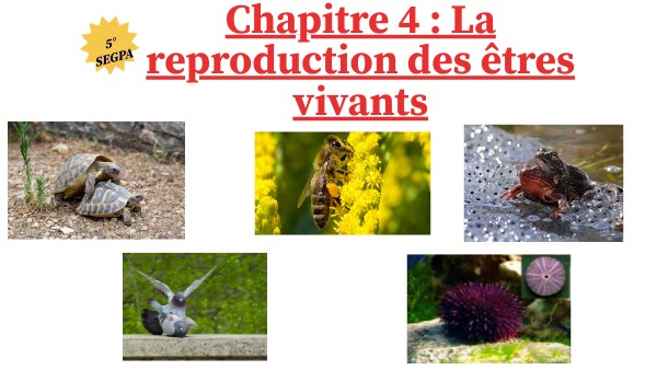 Chapitre 4 la reproduction des êtres vivants