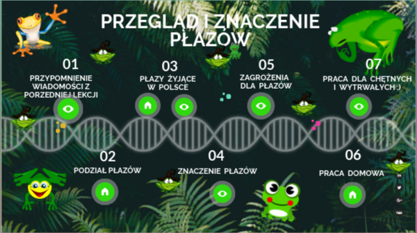 Przegląd i znaczenie płazów