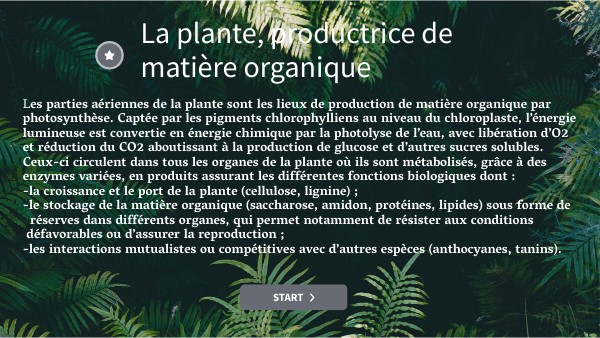 Les métabolites de la plante