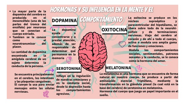 Hormonas y su influencia en la mente y el comportamiento