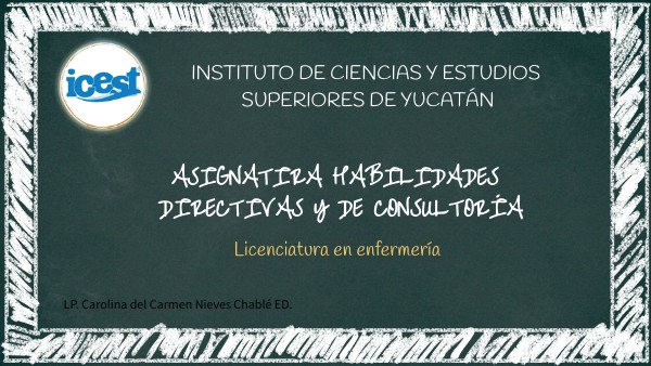 Habilidades Directivas Y De Consultoria En Enfermeria Pdf