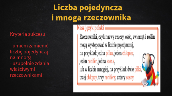 liczba pojedyncza i mnoga