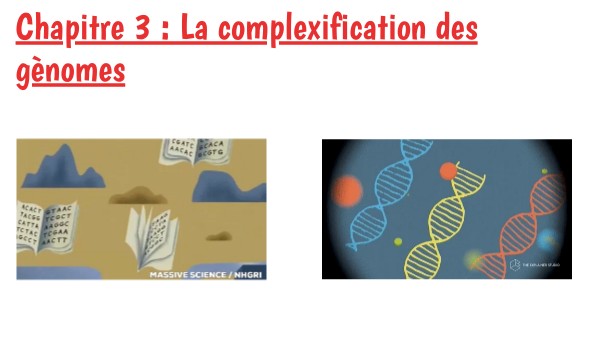 La Complexification Des Génomes Sujet Bac Corrigé