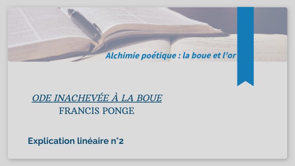 Ode-inachevée-à-la-boue-Explication linéaire chap 30