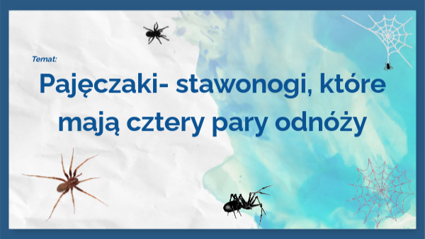 Pajęczaki copy