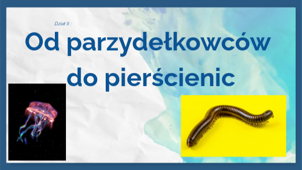Biologia Klasa 6 Od Parzydełkowców Do Pierścienic view.genial.ly