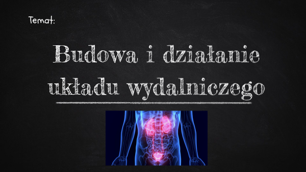 Uklad Wydalniczy Test Klasa 7 - Układ wydalniczy- klasa 7