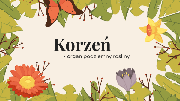 Korzeń - organ podziemny rośliny. copy