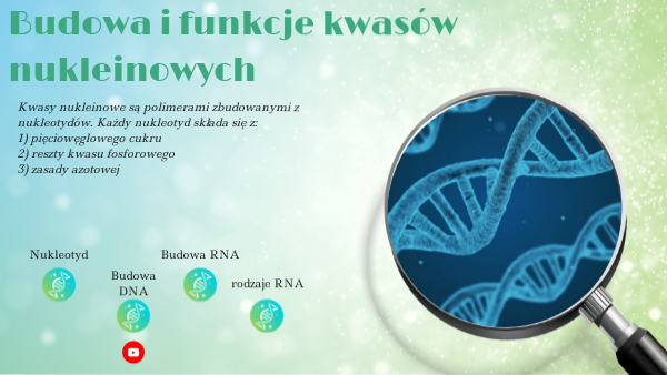 Budowa I Rola Kwasów Nukleinowych
