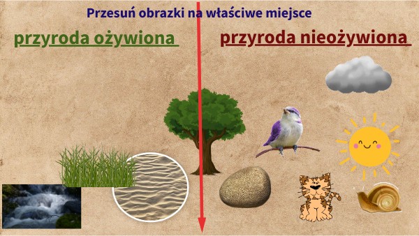 Przyroda Ożywiona I Nieożywiona Sprawdzian