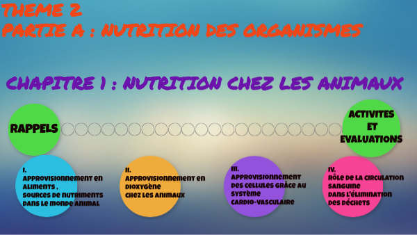 NUTRITION CHEZ LES ANIMAUX