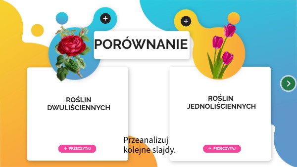 Rośliny Jedno I Dwuliścienne