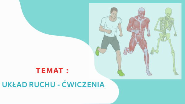 układ ruchu