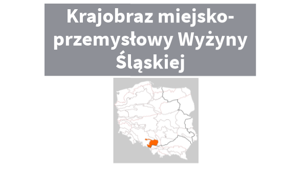 Wyżyna Śląska