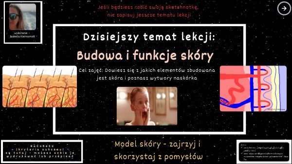 LM. Budowa i funkcje skóry