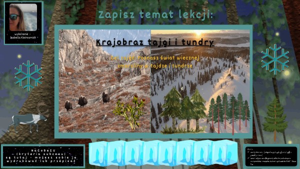 Strefa tajgi i tundry- lekcja multimedialna