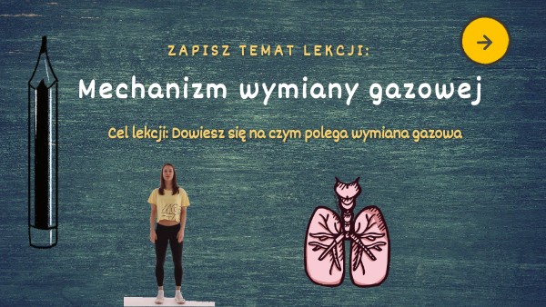 Wymiana Gazowa W Płucach Klasa 4 Mechanizm wymiany gazowej