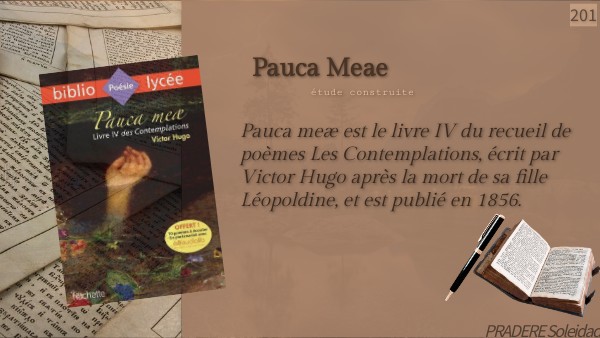Pauca Meae Trois Ans Après Analyse – PBGWE