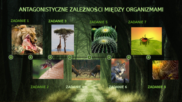 Antagonistyczne zależności między organizmami