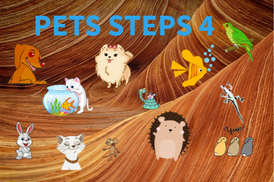 Steps Plus Klasa 4 Test view.genial.ly