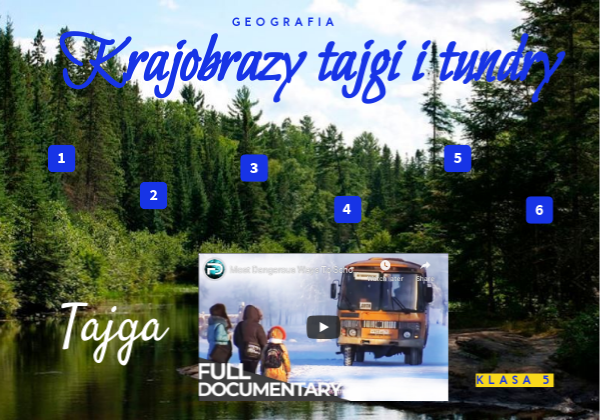 Tajga i tundra