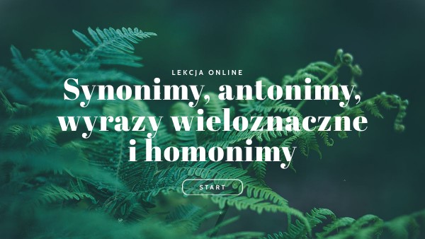 Synonimy, antonimy, homonimy