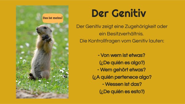 Genitiv