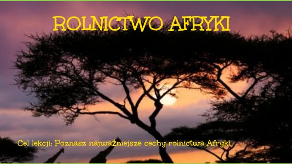 Rolnictwo żarowo Odłogowe W Afryce Rolnictwo Afryki