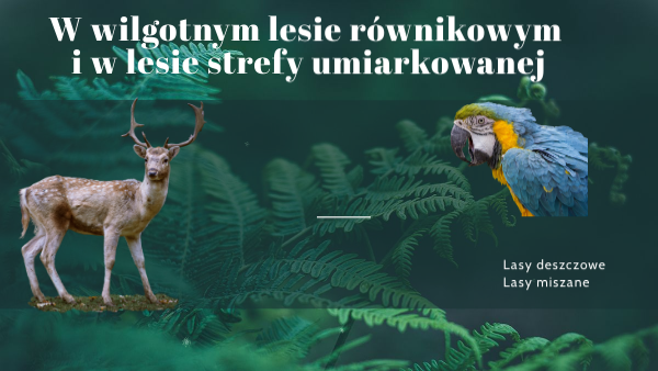 Lasy równikowe i mieszane