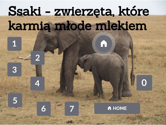Ssaki - kręgowce, które karmią młode mlekiem