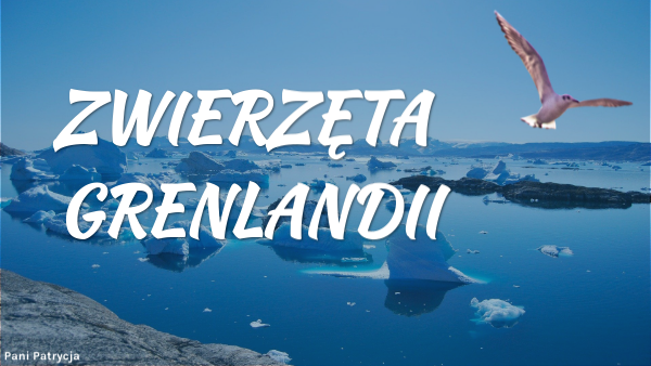 Zwierzęta Grenlandii