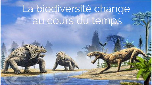 Evolution de la biodiversité