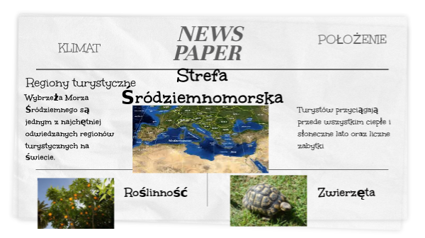 Strefa Śródziemnomorska