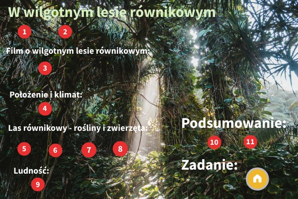 W wilgotnym lesie równikowym