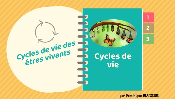 6ème cycles de vie