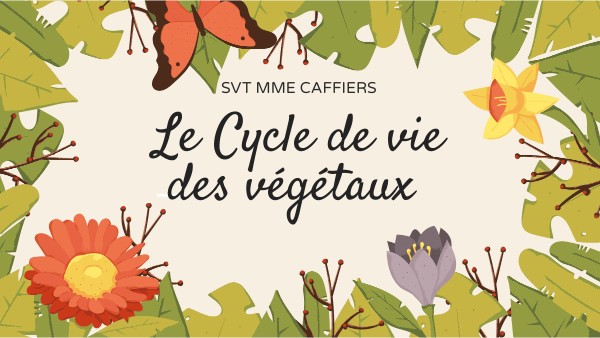 6ème cycle 3 le cycle de vie des végétaux