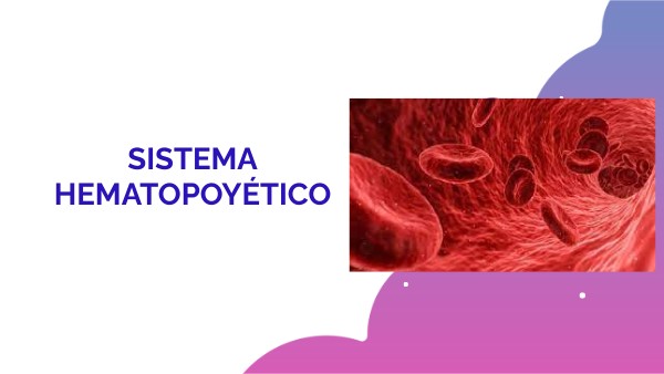 Anatomia Y Fisiologia Del Sistema Hematopoyetico Pdf