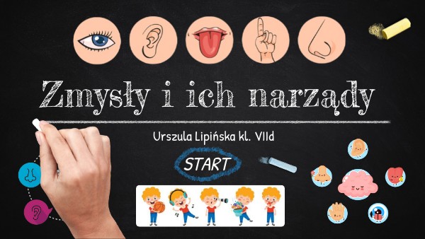 Zmysły i ich narządy - Urszula Lipińska kl. VIId