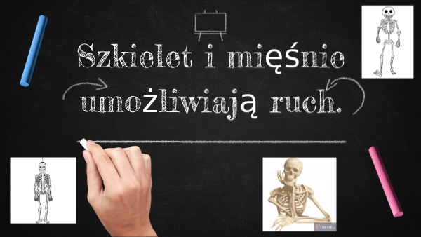 Szkielet i mięśnie